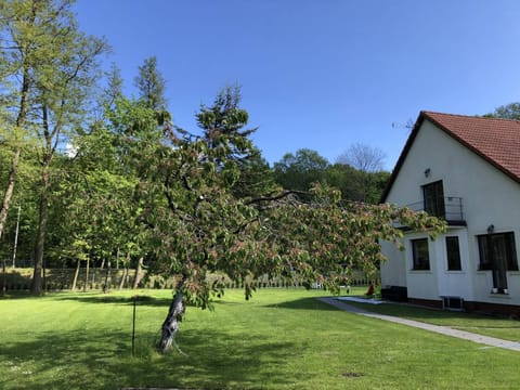 Apartament Olszynka Apartment in Gdansk