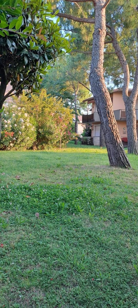 Garden, Garden view