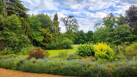 Day, Natural landscape, Garden, View (from property/room), Garden view