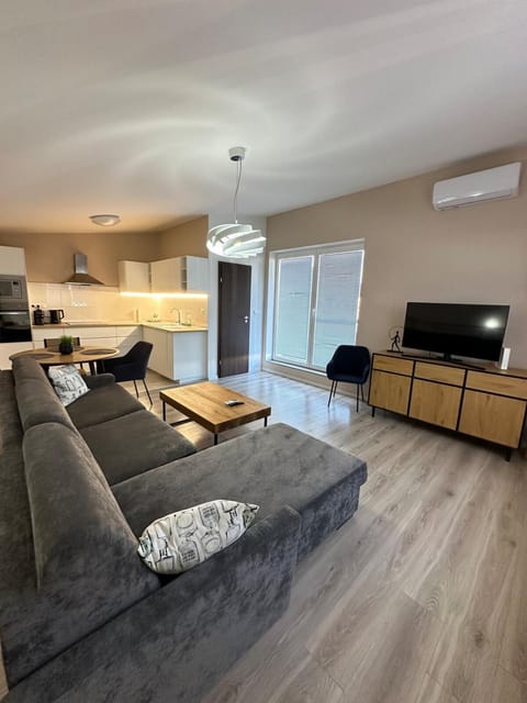 Communal lounge/ TV room, Kitchen or kitchenette, Living room, Dining area, Evening entertainment, air conditioner