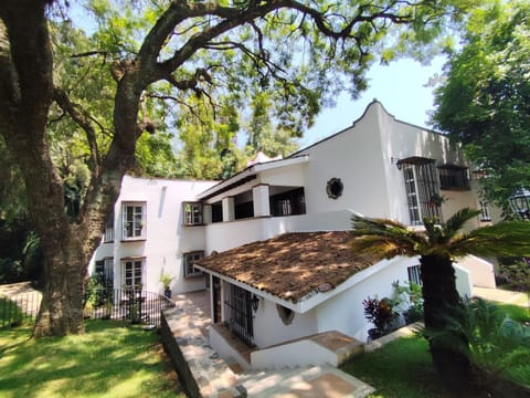 Property building, Spring, Day, Garden, Garden view