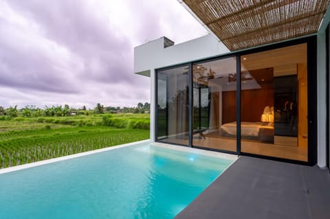 Natural landscape, Garden, Pool view