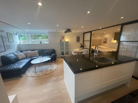 Bed, Kitchen or kitchenette, Living room, Photo of the whole room, Seating area, Bedroom