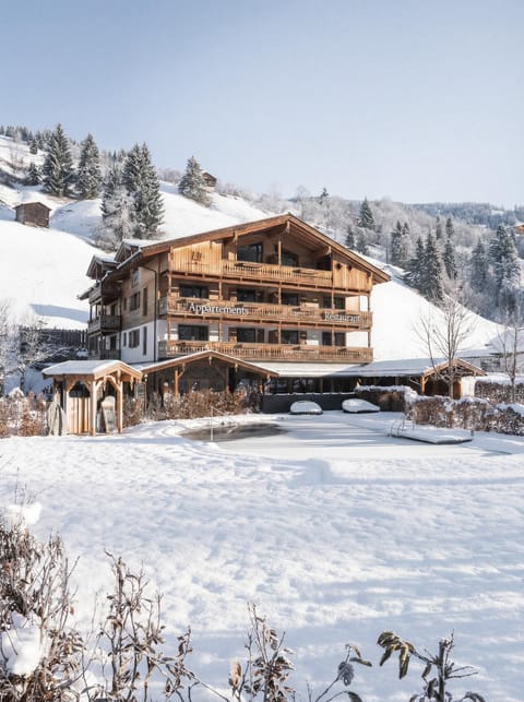 Property building, Day, Natural landscape, Winter, Mountain view