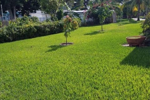 Spring, Day, Natural landscape, Garden, Garden, Garden view