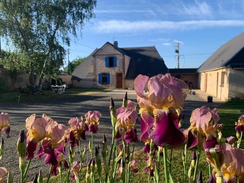 Garden, Garden