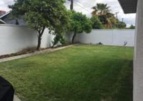 Day, Natural landscape, Garden, Garden view