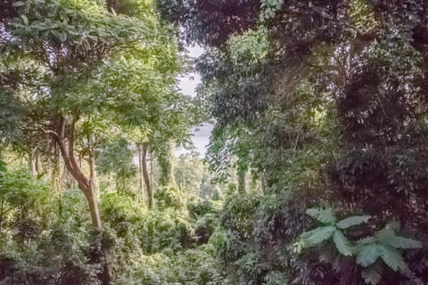 Day, Natural landscape