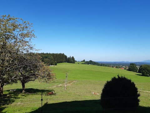 Prassberger Urlaub auf dem Bauernhof Farm Stay in Aschau im Chiemgau