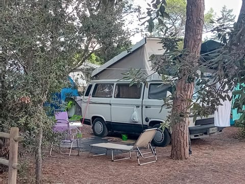 Natural landscape, Summer, Garden, Garden view