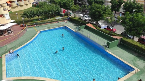 Swimming pool, Swimming pool