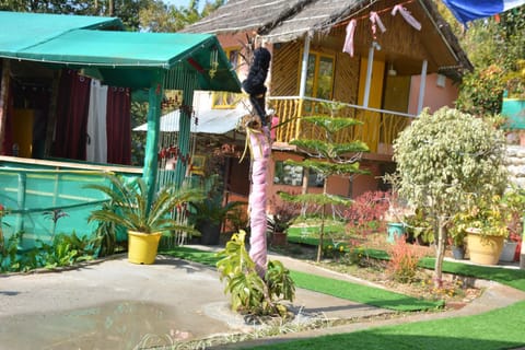 Property building, Garden, Garden view