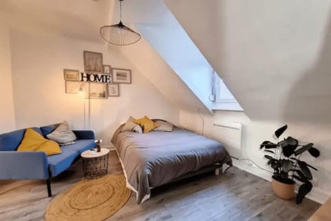 SOH Rent Strasbourg saint Florent proche Gare Apartment in Strasbourg