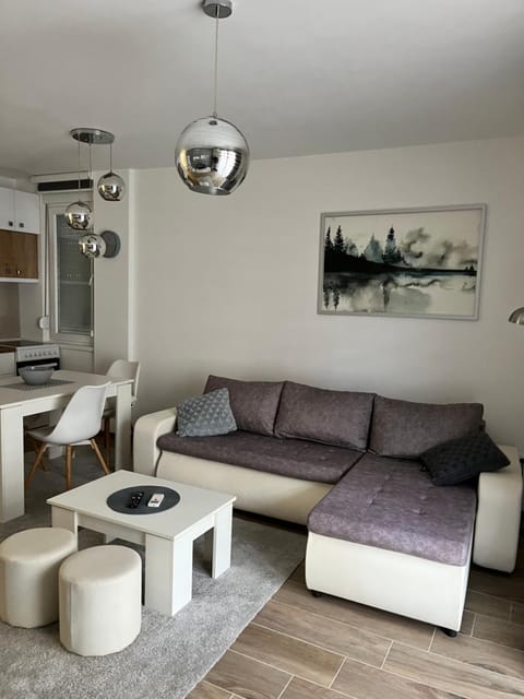 Apartman Teona Apartment in Novi Sad