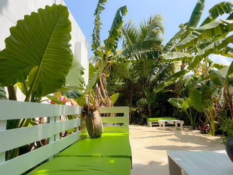 Garden, Garden view