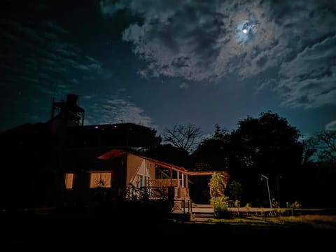 Night