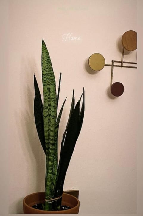 My Spiritual Vintage Home For You! House in Sardinia