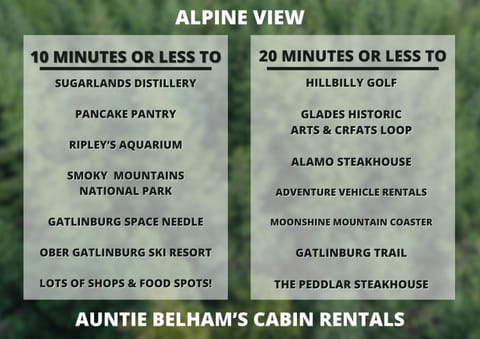 Pool table, hot tub, dogs welcome, 4 bedrooms! House in Gatlinburg