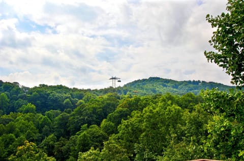 Pool table, hot tub, dogs welcome, 4 bedrooms! House in Gatlinburg