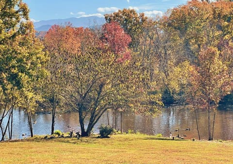 Firepit, close to parkway, hot tub, tons of games! House in Sevierville