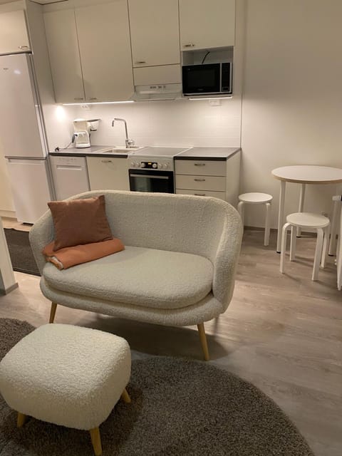 Moderni yksiö, omalla autopaikalla Apartment in Finland