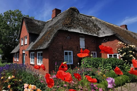 LITZKOW 13703 House in Westerland