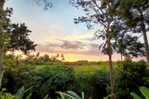 Ubud 3-bedrooms with sunset view Villa in Sukawati