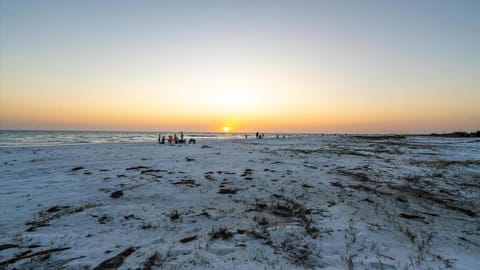 Modern home - 3K sqft - 5BR & 11 beds - brand new HOT TUB - 6 miles to AMI beaches House in Bradenton