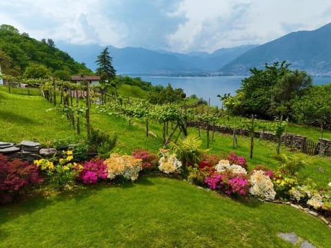 Garden view, Lake view