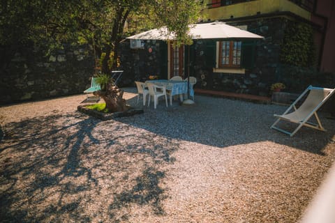 Patio, Garden, Dining area