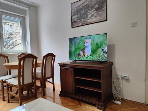 TV and multimedia