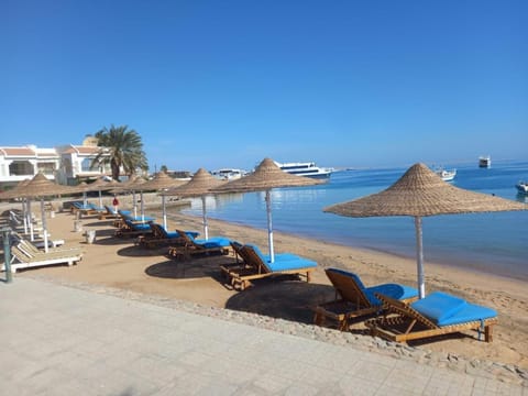 Nearby landmark, Day, Natural landscape, Beach, Lake view, Pool view, Sea view, Swimming pool, sunbed