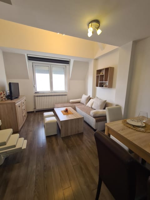 TV and multimedia, Living room, Photo of the whole room, Seating area, Dining area