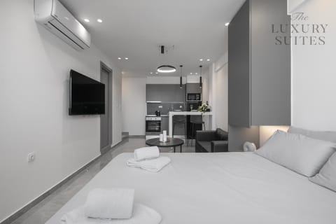 Bed, TV and multimedia, Living room, Photo of the whole room, Seating area, towels, air conditioner