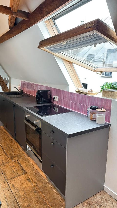 Cosy Authentiek Penthouse Apartment in Antwerp
