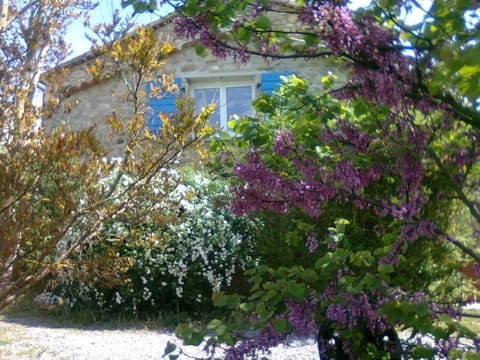 Garden view, River view