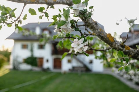 Landhaus am Fuschlsee Apartment in Salzburgerland