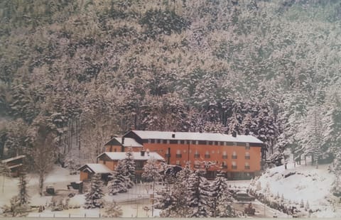 Natural landscape, Winter