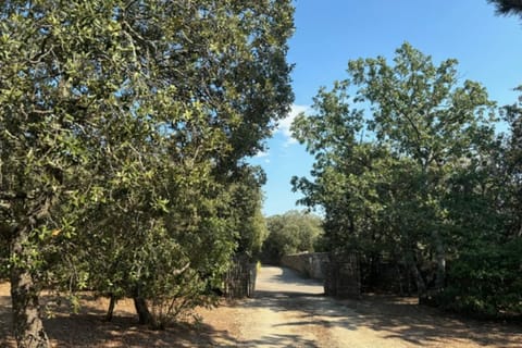 Les Campanettes Superb Mas in Provence House in Gordes