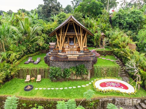 Day, Natural landscape, Garden, Garden, Garden view, Swimming pool
