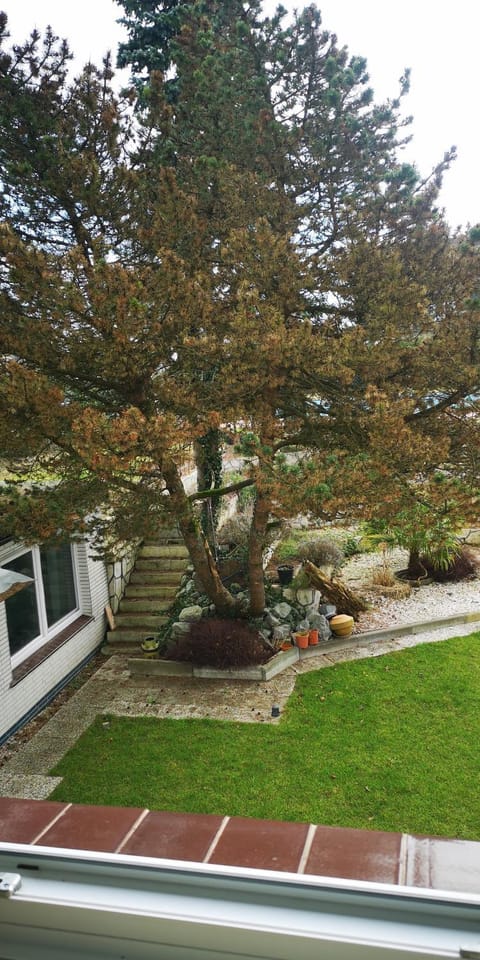 Garden, Garden view