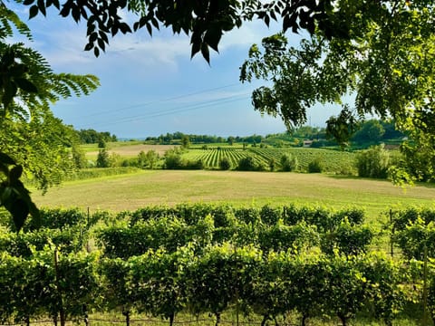 Day, Natural landscape