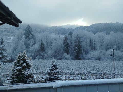 Agritur Casa al Mulino Camere Farm Stay in Trentino-South Tyrol