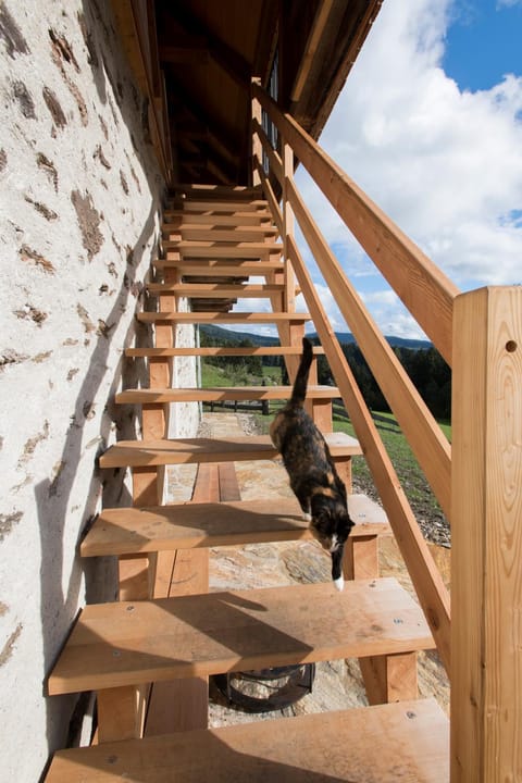 Chalet Kaiser Chalet in Carinthia, Austria