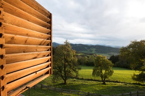 Chalet Kaiser Chalet in Carinthia, Austria