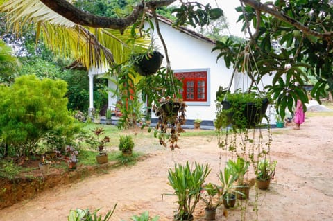 Natural landscape