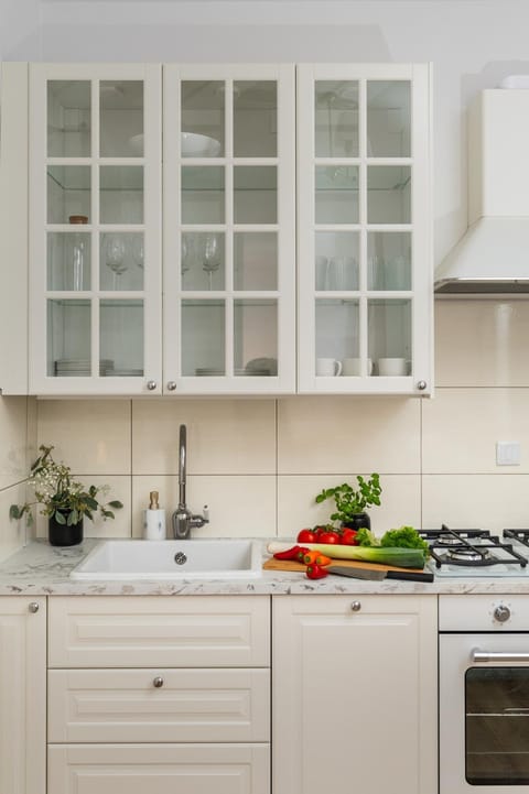 Kitchen or kitchenette, dishwasher, stove