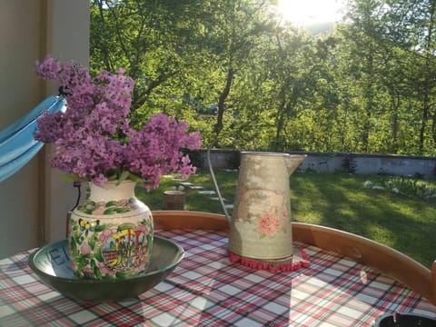 Spring, Garden, Balcony/Terrace