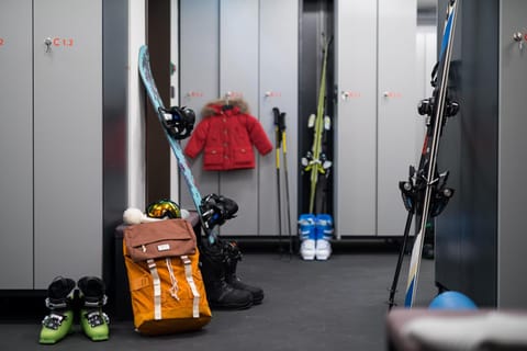 Skiing, Area and facilities