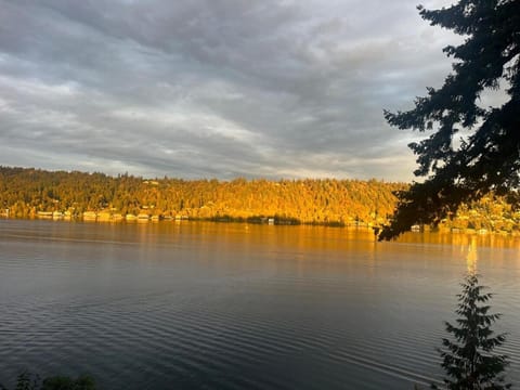 Lakefront retreat by Marymoor, Microsoft, Bellevue, Redmond House in Lake Sammamish